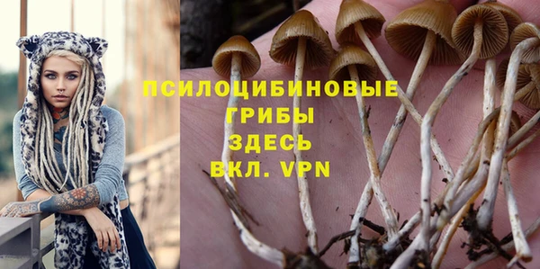 марки lsd Верея